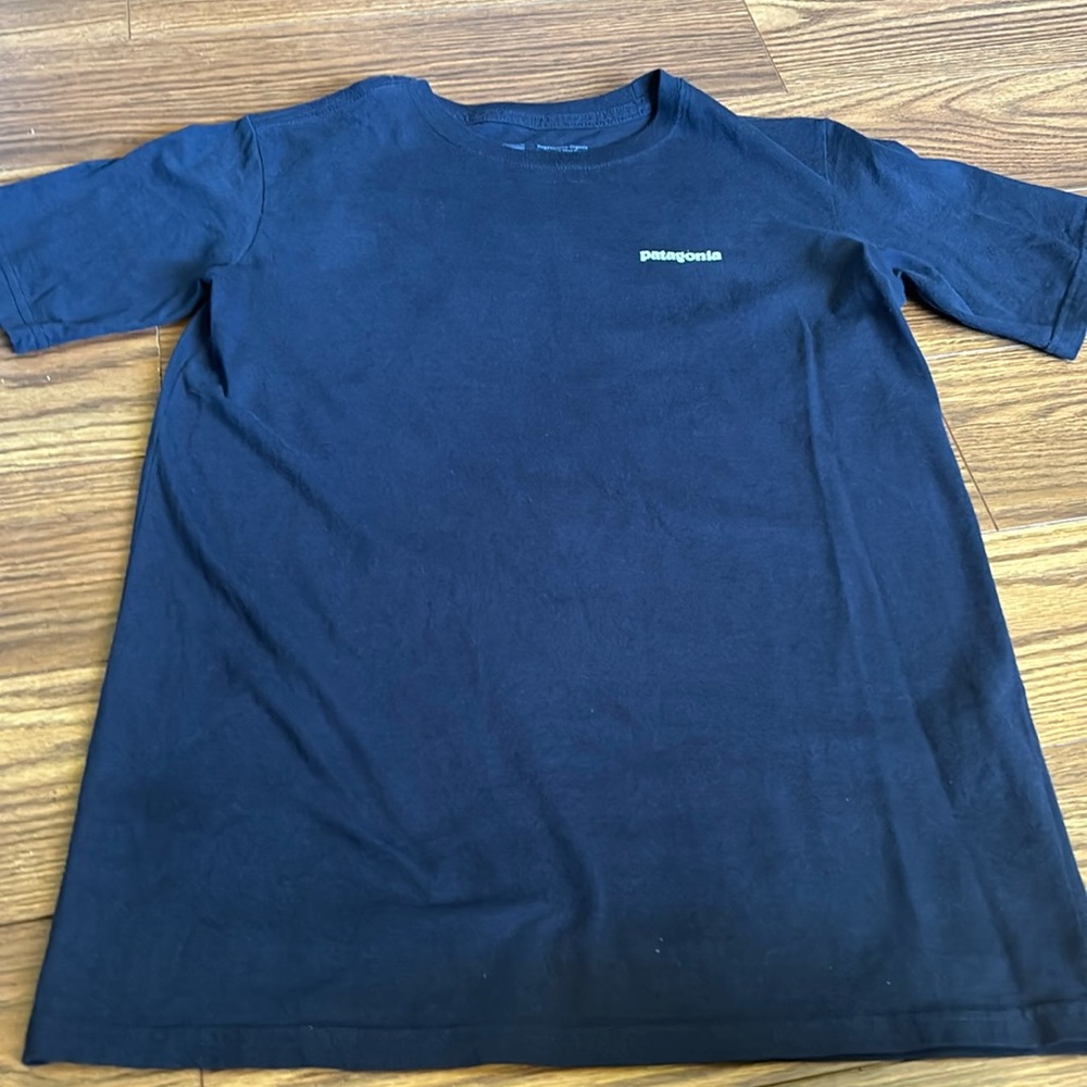 Patagonia T-shirt